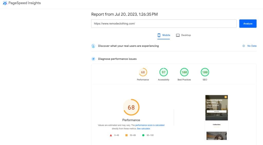 PageSpeed Insights Optimization & Core Web Vitals for eCommerce & WordPress Sites